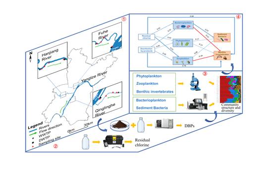 Graphical abstract